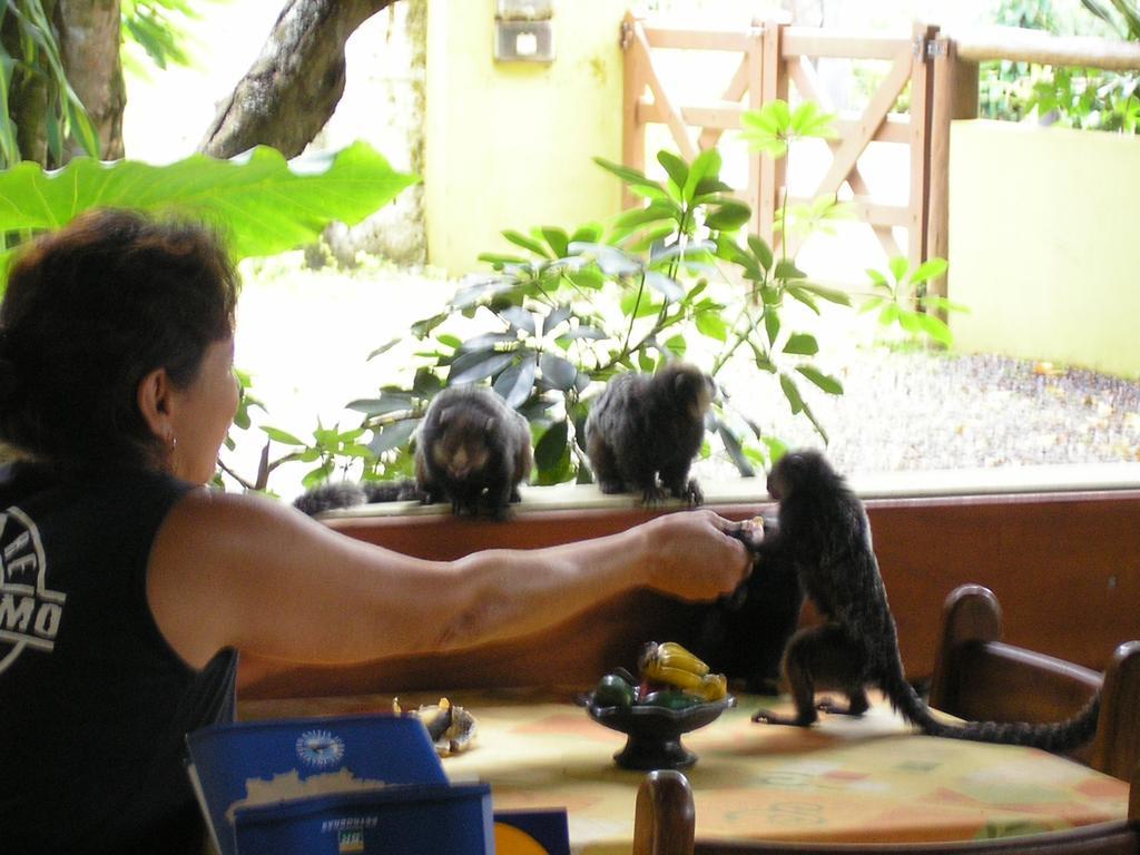 Pousada Solarium อิตากาเร ภายนอก รูปภาพ